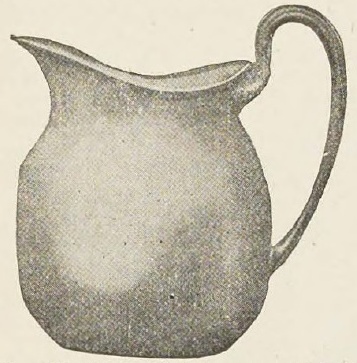 Catalog evidence for Water Pitcher