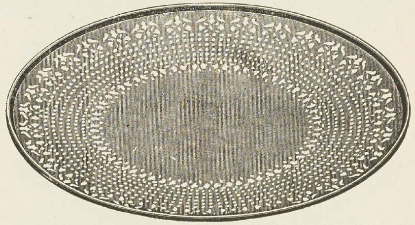 Catalog evidence for Sandwich Plate