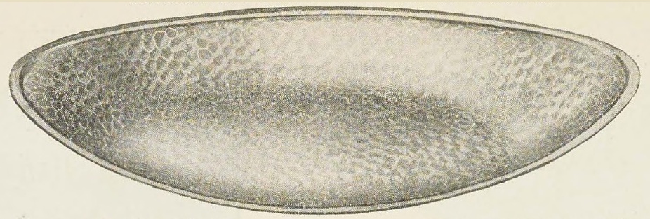 Catalog evidence for Bread Tray
