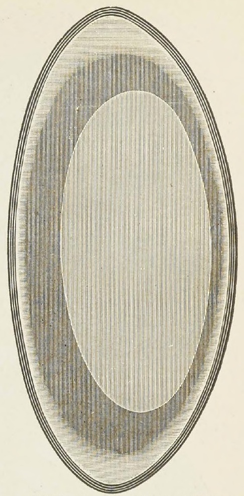 Catalog evidence for Bread Tray