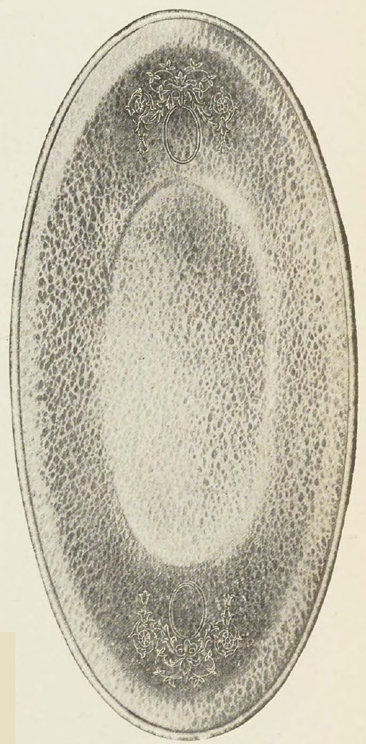 Catalog evidence for Bread Tray