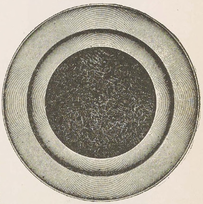 Catalog evidence for Collection Plate