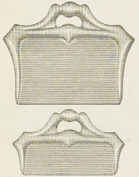 Catalog evidence for Crumb Set