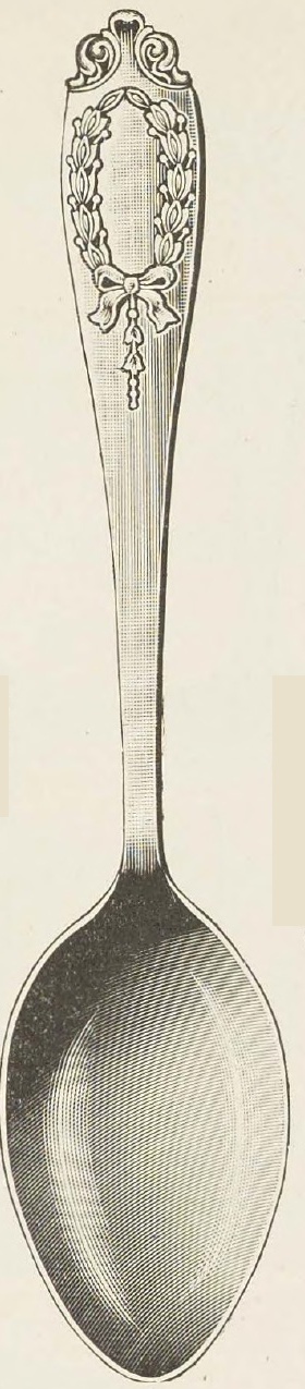 Catalog evidence for Souvenir Spoon
