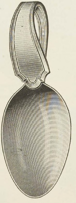 Catalog evidence for Baby Spoon