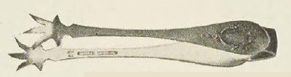 Catalog evidence for Mount Vernon Sugar Tongs