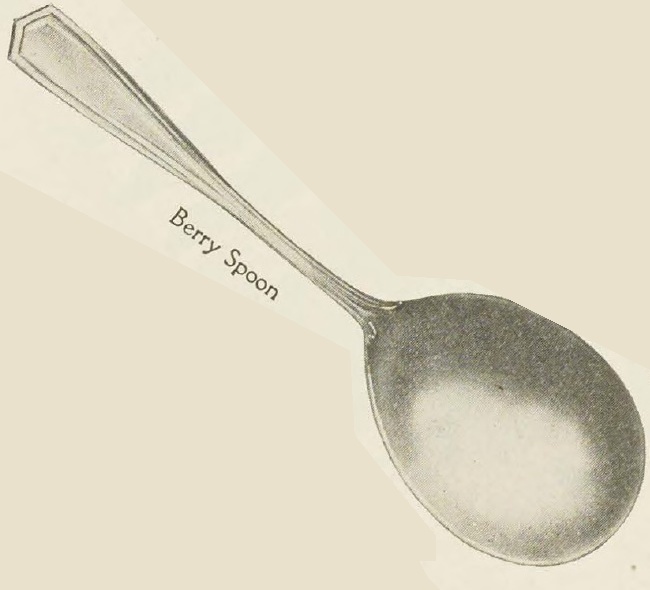 Catalog evidence for Brandon Berry Spoon