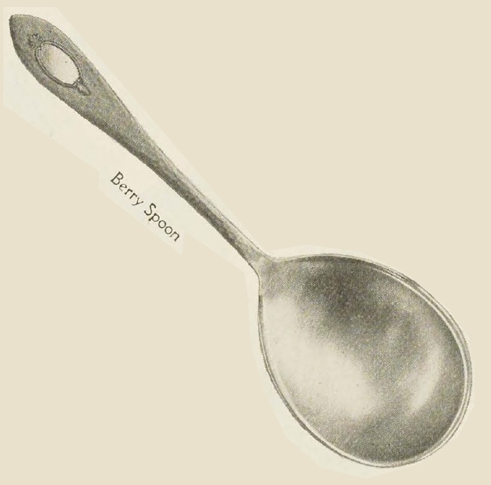 Catalog evidence for Stuyvesant Berry Spoon