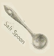 Catalog evidence for Stuyvesant Salt Spoons — individual