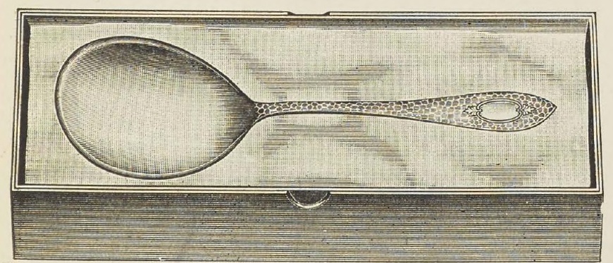 Catalog evidence for Stuyvesant Berry Spoons