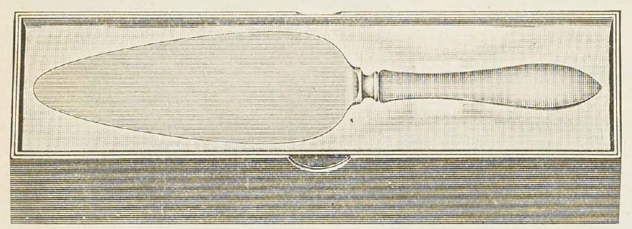 Catalog evidence for Patria Pie Server; No. 2
