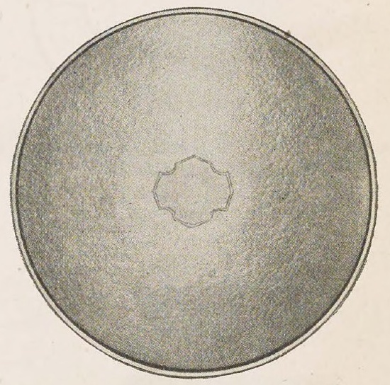 Catalog evidence for Sandwich Tray