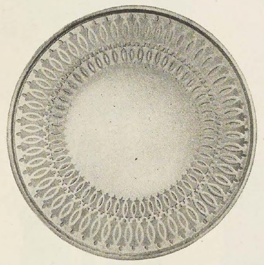 Catalog evidence for Sandwich Tray