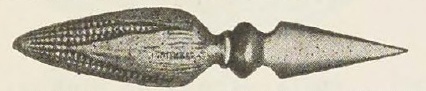 Catalog evidence for Corn Holder