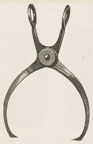 Catalog evidence for Sugar Tongs