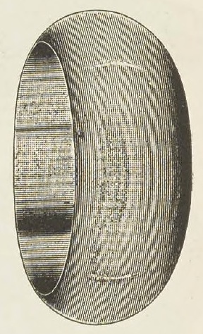 Catalog evidence for Napkin Ring