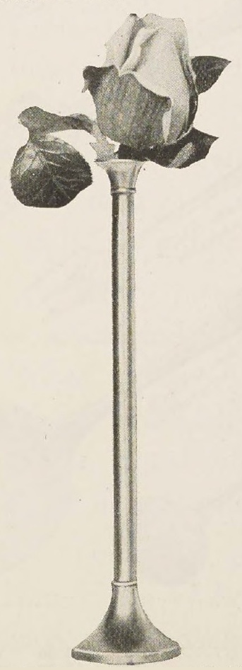 Catalog evidence for Bud Vase