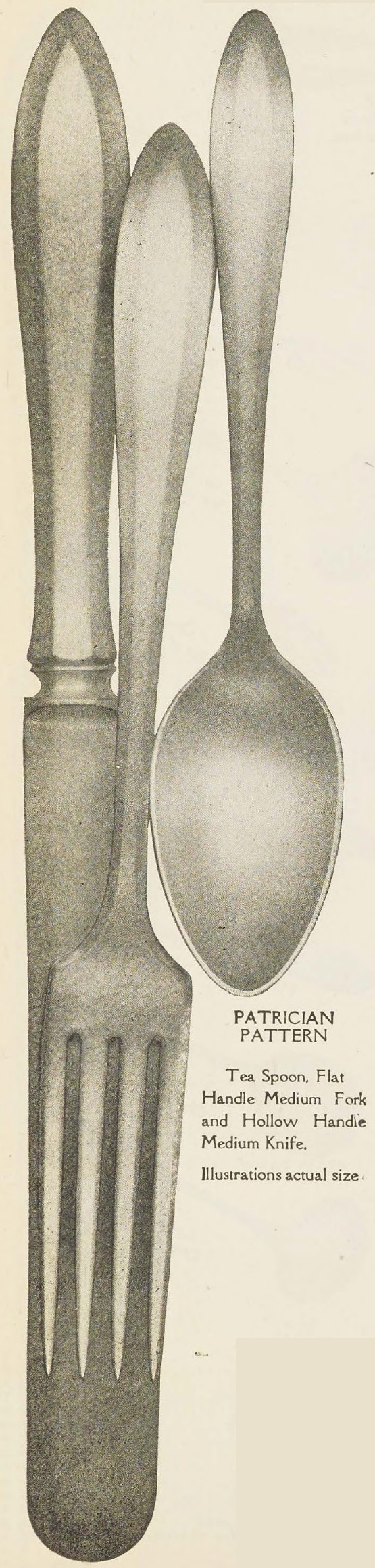Catalog evidence for Patrician Pattern Hollow Handle Medium Knives