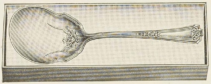 Catalog evidence for Chatham Berry Spoon
