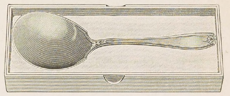 Catalog evidence for 1881 Rogers — Chippendale — Berry Spoon; in lined box