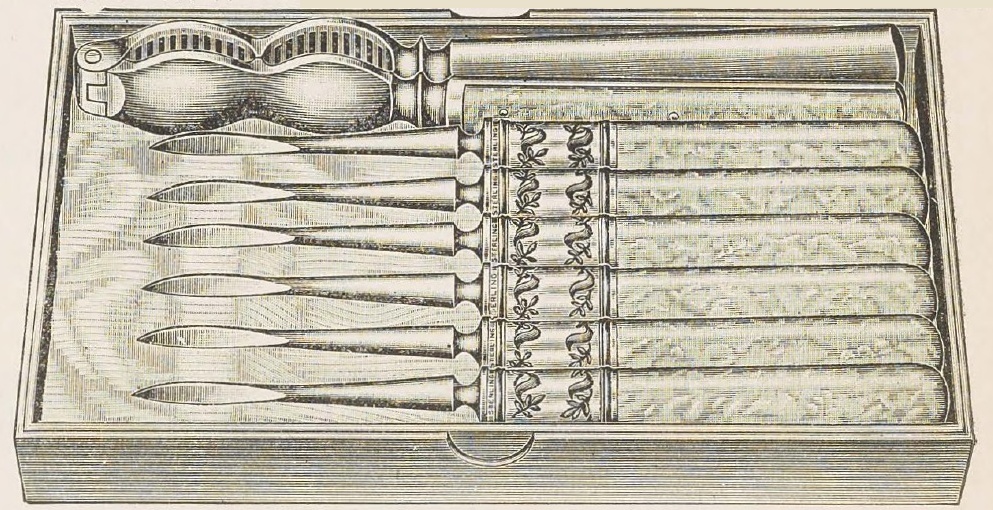 Catalog evidence for Nut Set