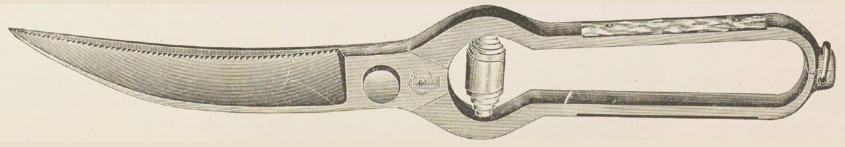 Catalog evidence for Duck or Game Shears; pearl inlaid handle