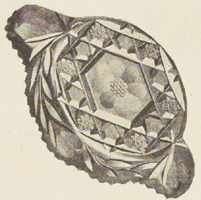 Catalog evidence for Lemon Dish