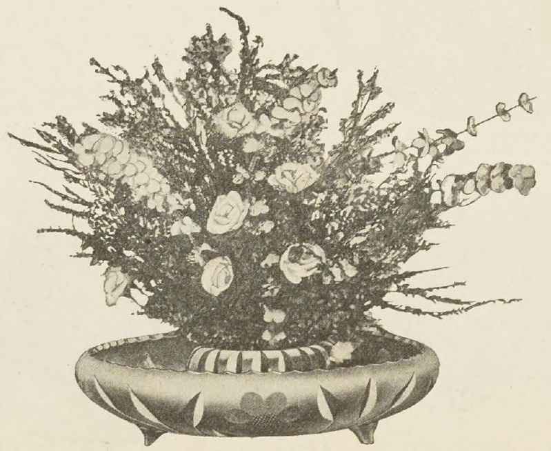 Catalog evidence for Flower Bowl