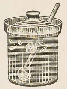 Catalog evidence for Mustard with Spoon