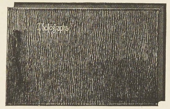 Catalog evidence for Walrus Grain Photographs Album 5½ x7
