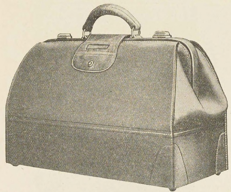 Catalog evidence for Brown Cowhide Bag