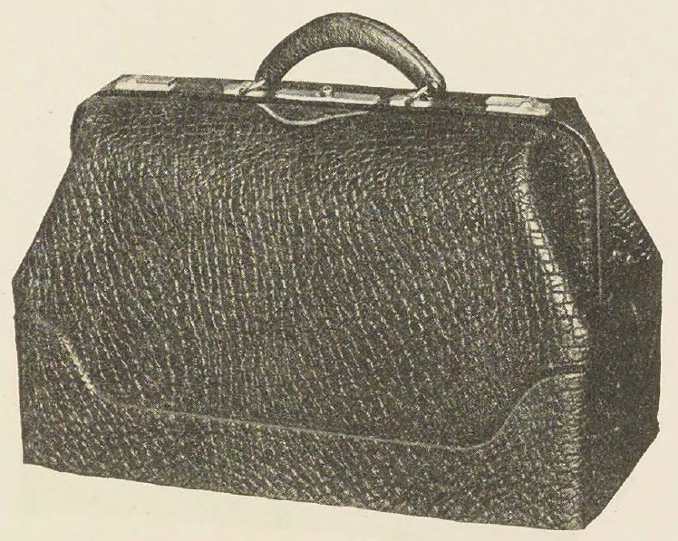 Catalog evidence for Zebra Grain Leather Bag