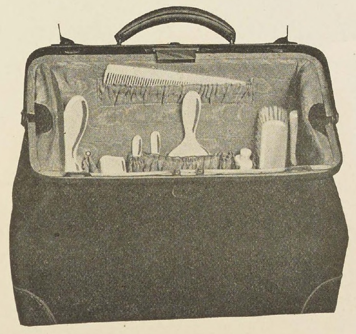Catalog evidence for Ladies’ Outfitted Bag