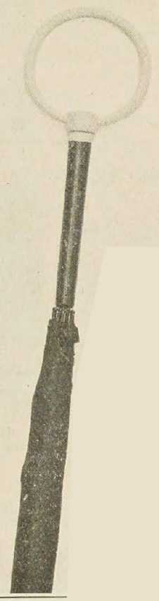 Catalog evidence for Women’s Umbrella J1477