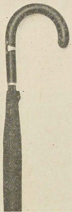 Catalog evidence for Men’s Umbrella J1509