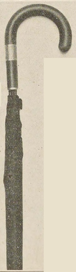 Catalog evidence for Men’s Umbrella J1514