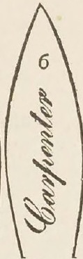 Catalog evidence for Engraving Style 6