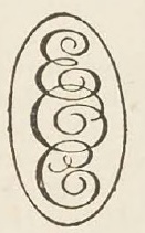 Catalog evidence for Engraving Style 26