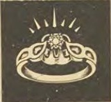 Catalog evidence for Ring · No. 873