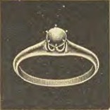 Catalog evidence for Ring · No. 789