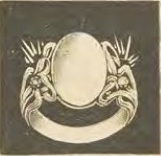 Catalog evidence for Ring · No. 895