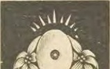 Catalog evidence for Ring · No. 894