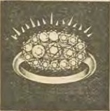 Catalog evidence for Ring · No. 950