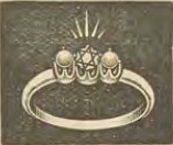Catalog evidence for Ring · No. 954