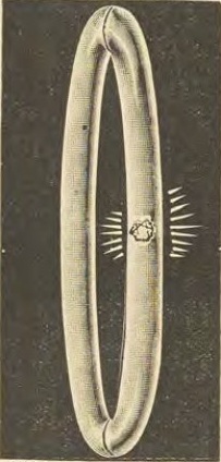 Catalog evidence for Bracelet · No. 974