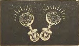Catalog evidence for Earrings · No. 1065