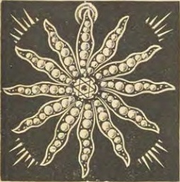 Catalog evidence for Brooch / pendant · No. 1231