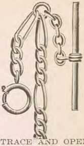 Catalog evidence for Chain / fob · No. 405