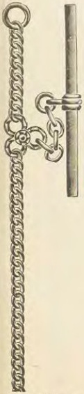 Source illustration