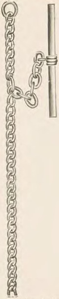 Catalog evidence for Chain / fob · No. 2817